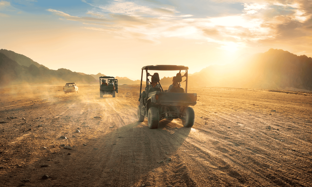 Untitled design (25)