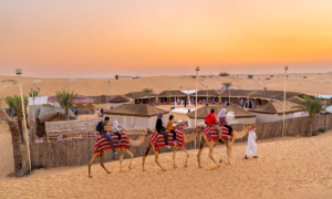 Desert Safari Dubai