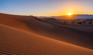 Morning Desert Safari