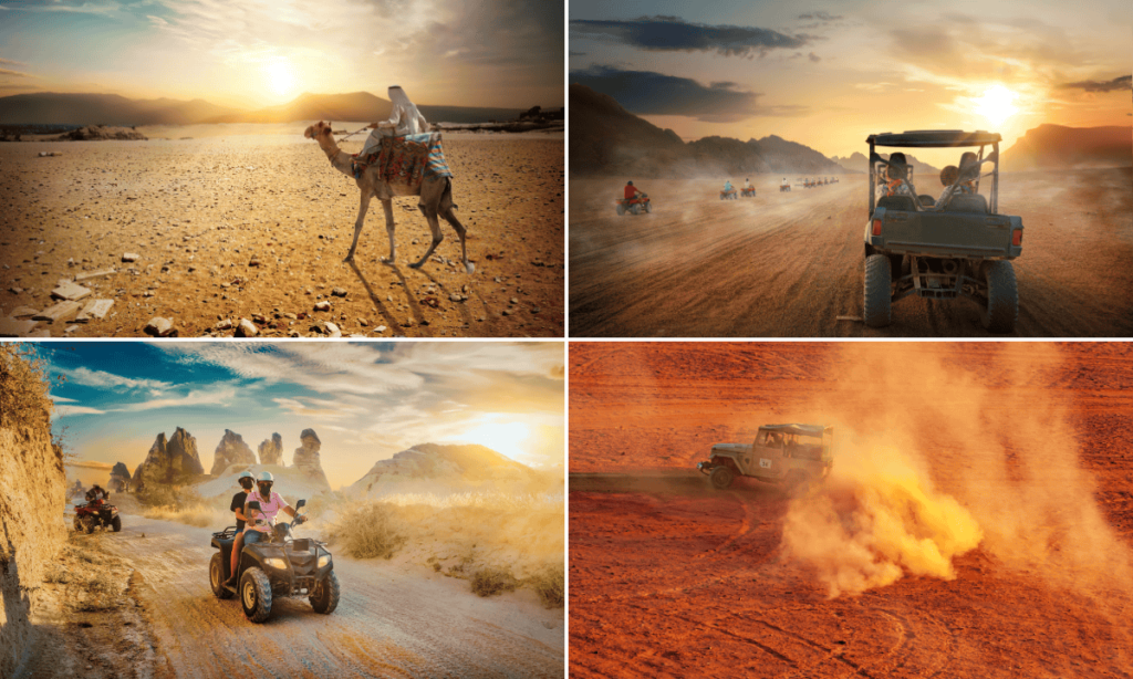 Morning desert safari adventures