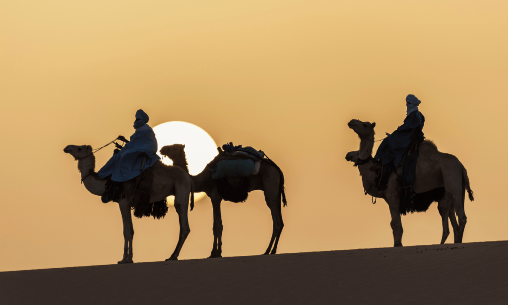 Sun rise camel ride