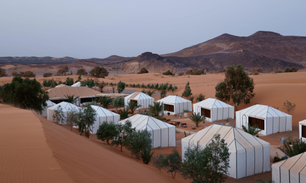 Bedouim Camp